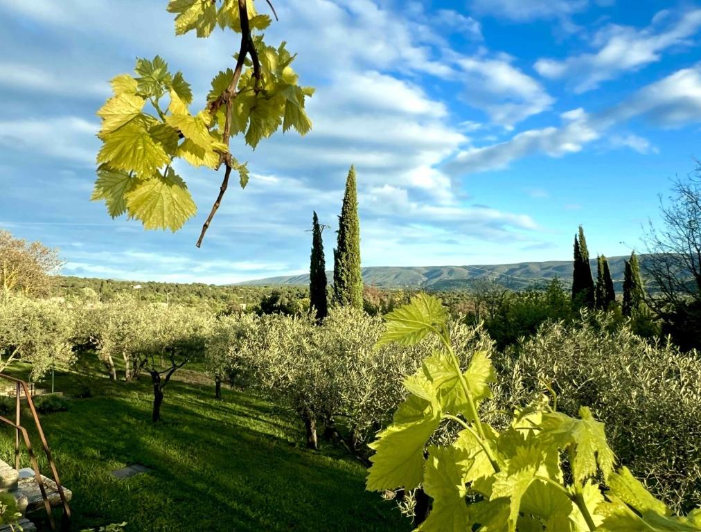 Provence km28 - 1