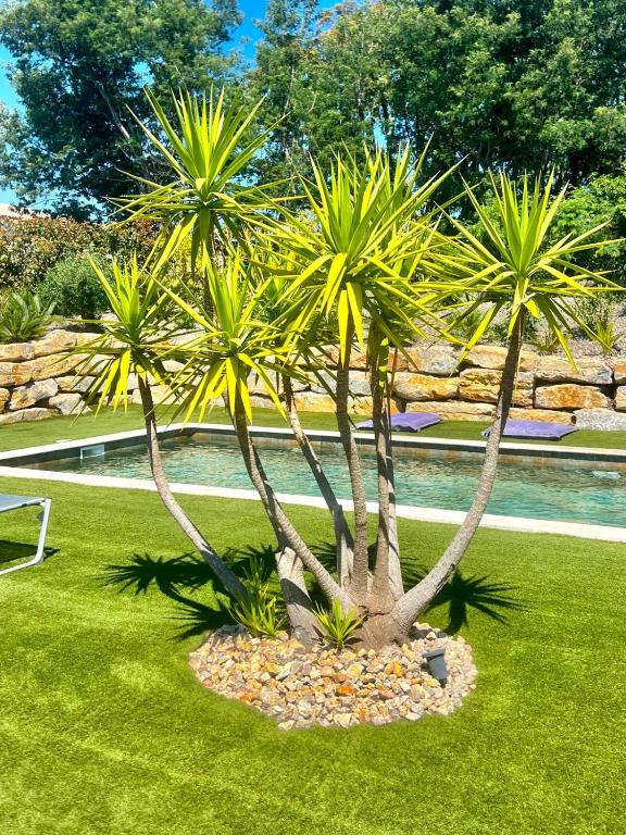 Villa Largo l Pool & Beachside l Shellter Rentals - 2