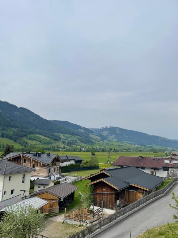 Ferienwohnung MOSER am Sonnbichl Leogang - 3