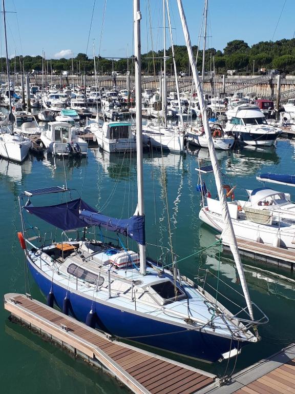 Sailboat land and sea, vegetated - 1