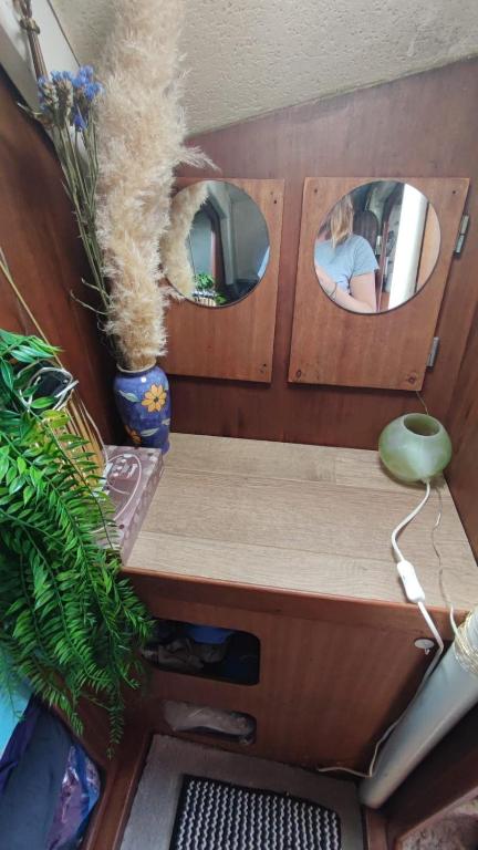 Sailboat land and sea, vegetated - 3