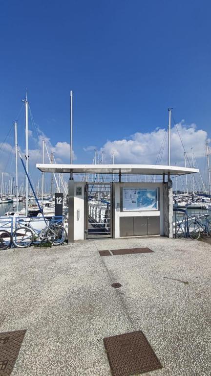 Sailboat land and sea, vegetated - 4