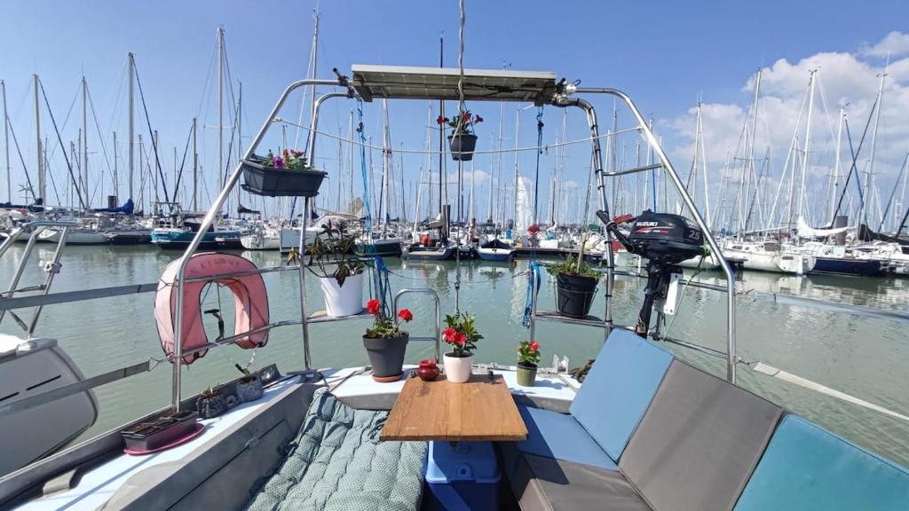 Sailboat land and sea, vegetated - 5