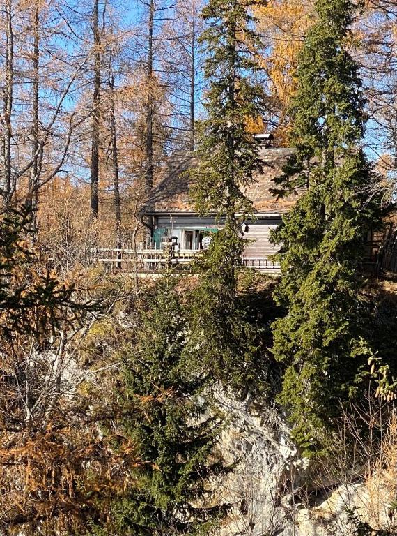 Almhütte Steirische Botschaft - 5