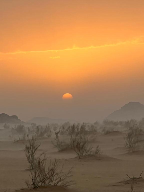 Surrounding environment