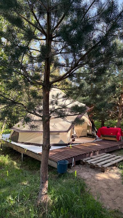 Glamping under the pines, Vilnius