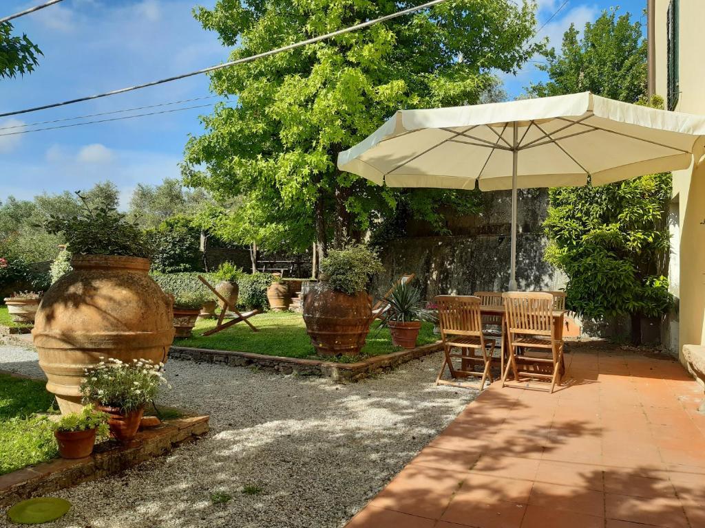 Villa Lucchese - 4