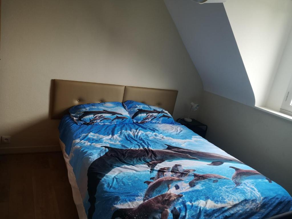 Hippocampe Malo, Saint-Malo