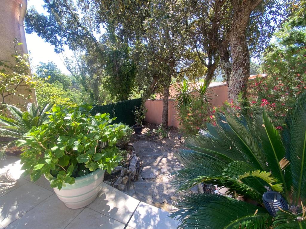 Maison de vacances vue sur les vignes, piscine, trampoline, ping pong et pétanque - 5
