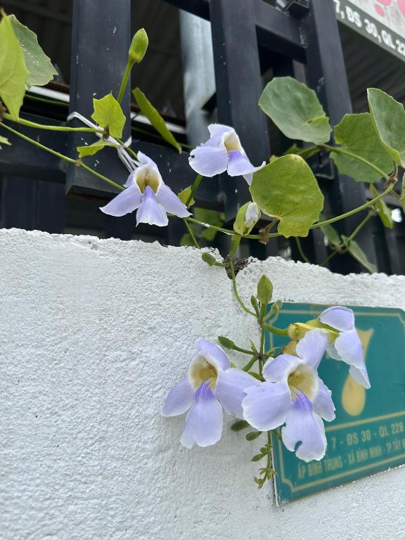 Ảnh 5