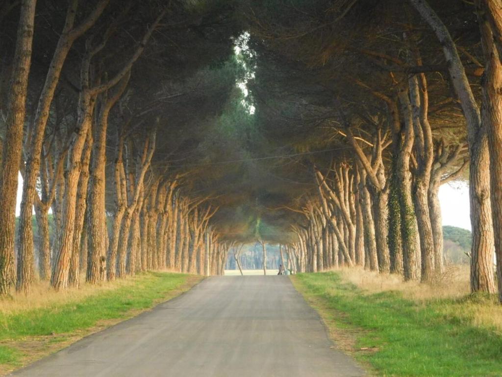 Pigreco 무료 주차 공간