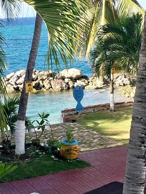 Chrisanns beach resorts, Kupuis