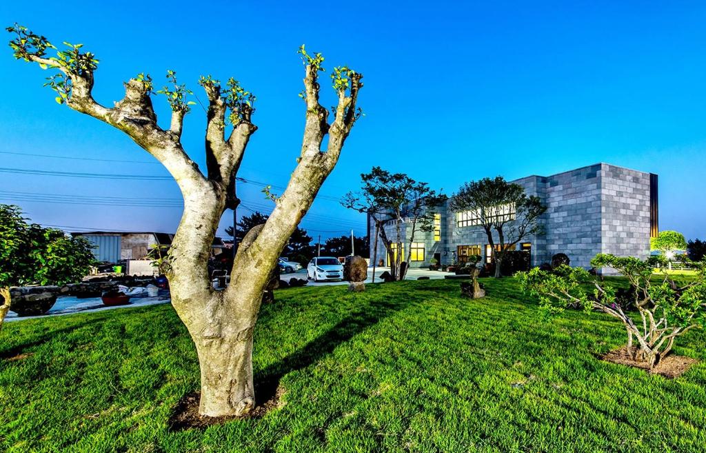 Surrounding environment