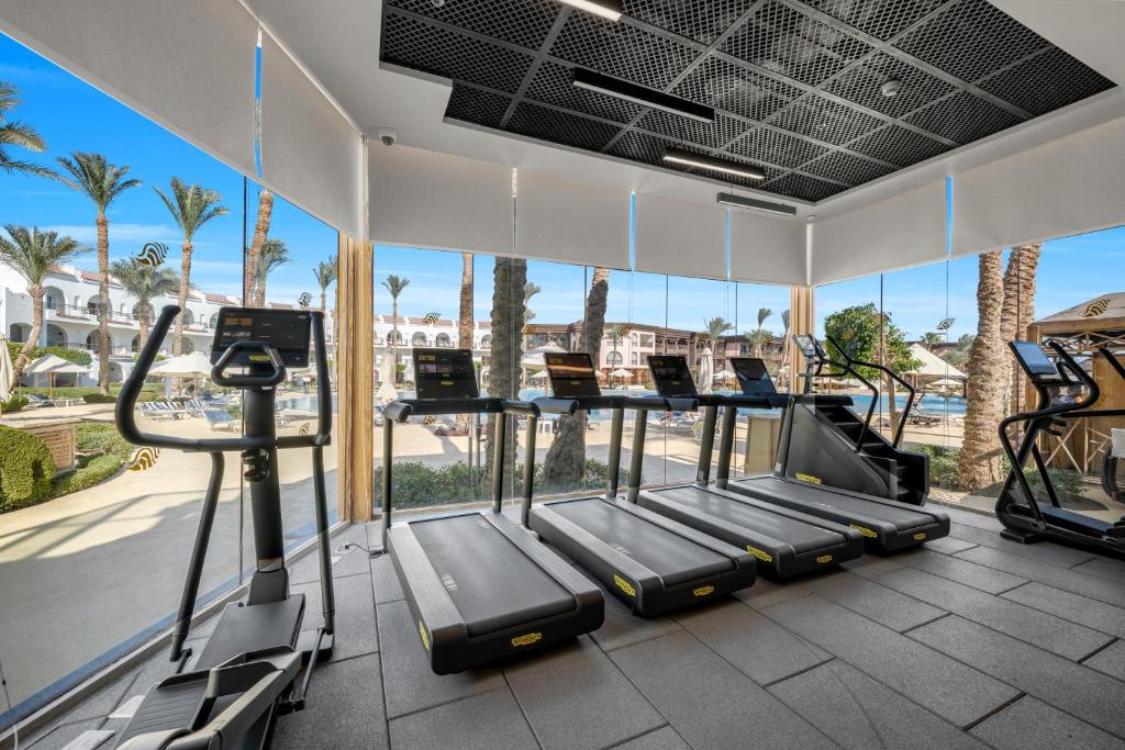 Programlehetőségek