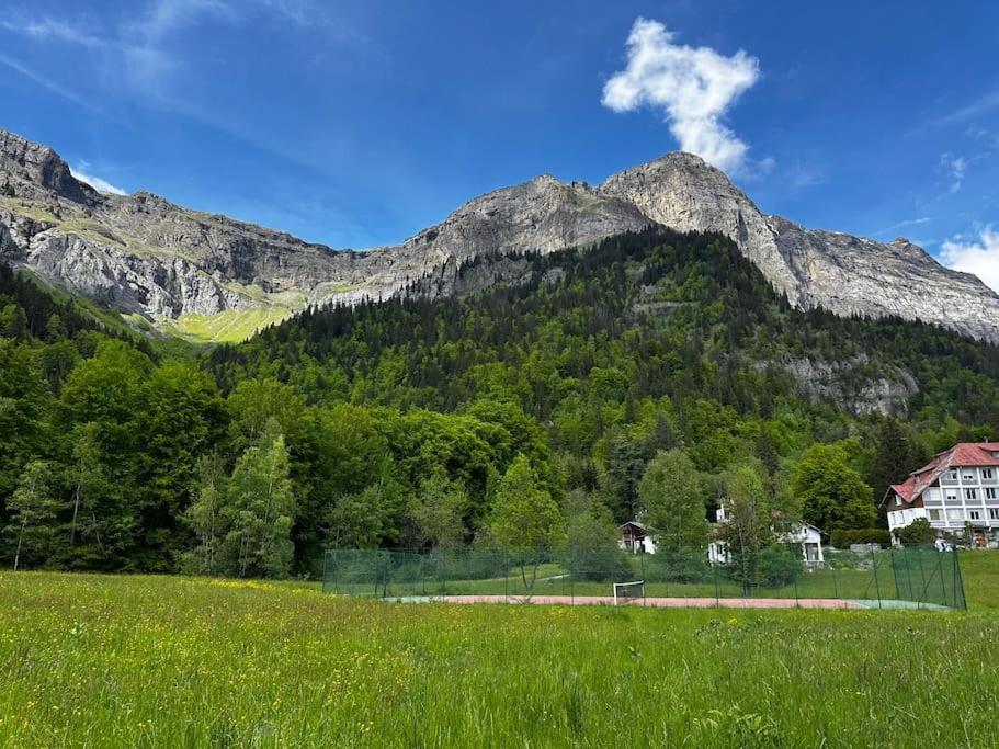 Mont Blanc view on a 40m2 Terrace - 4