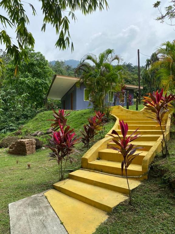 도미토리룸 이미지