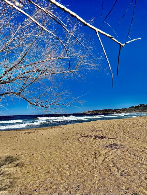 Lovely place with free parking, Corbara