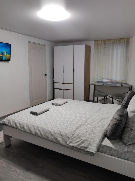 Apartment in the center for 1-3 people, Černovice
