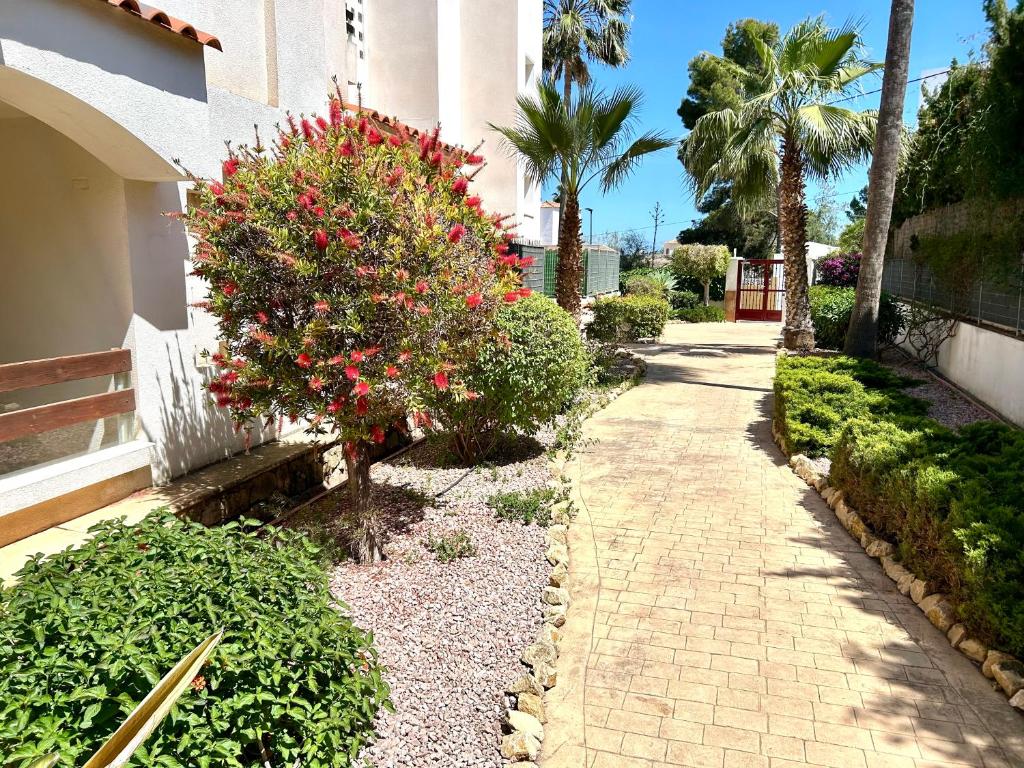 Apartment Font Rotja Albir - 2