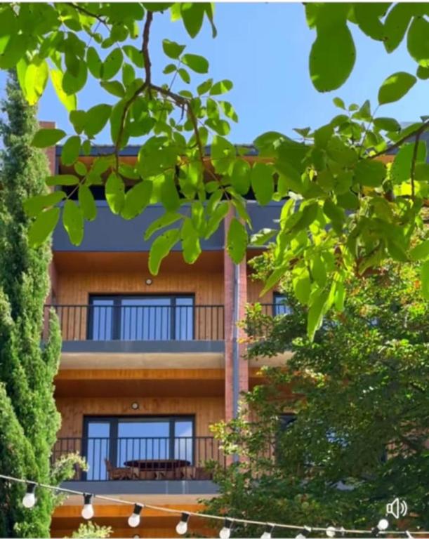 Hidden Gem Bazaleti, Mlashe