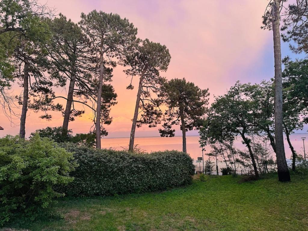 Villa d'exception au bord du lac - 3