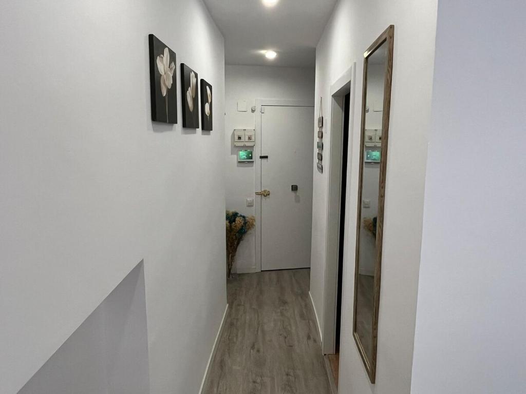 Platja de la Pineda Studio - 3