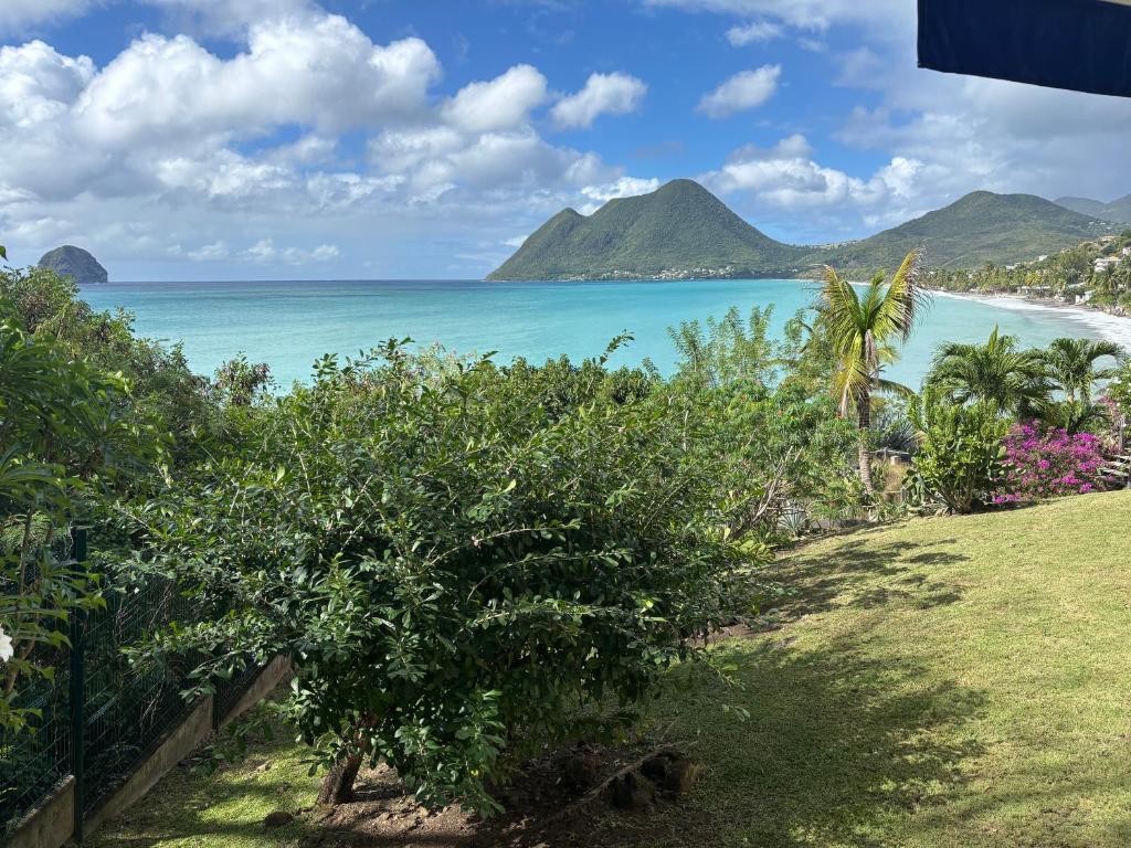 Nao Maria, Le Diamant