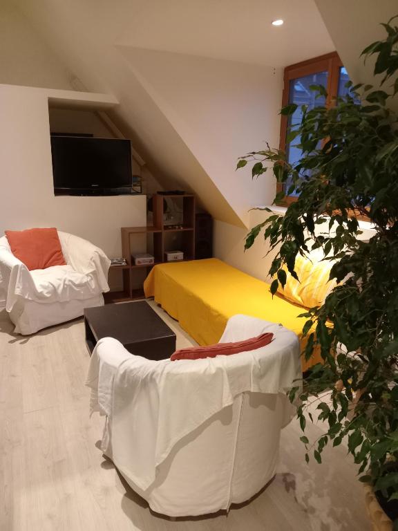 T2 lumineux refait à neuf, au calme, jardin partagé - 2