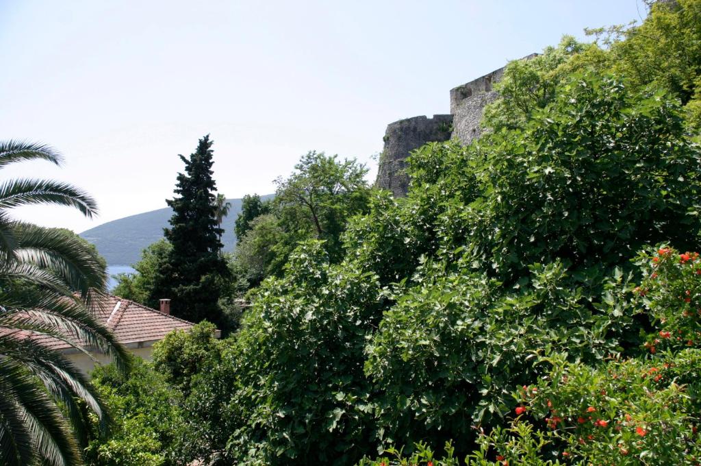 Apartman Zirojevic - 4