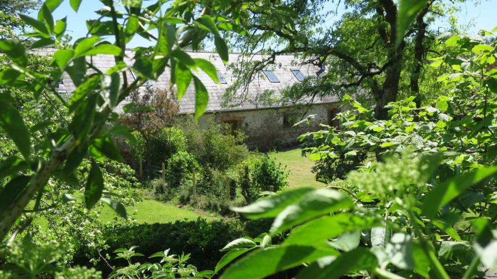 The Old Cowshed - Swallows Cottage, Pembroke