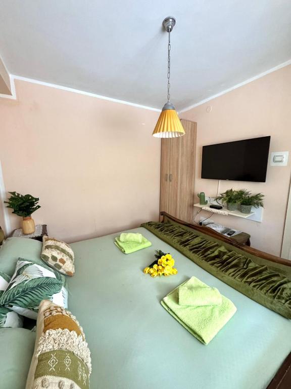 Vila Tošanić - 3