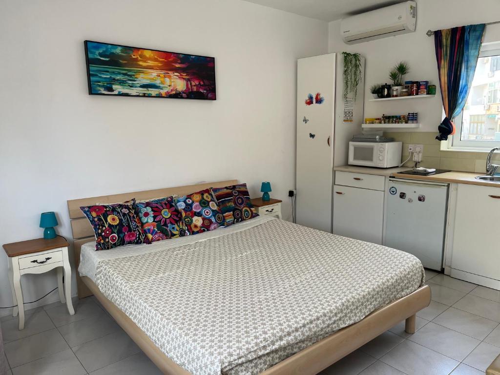 Bohemian suite penthouse close to Sliema and Valletta, Msida