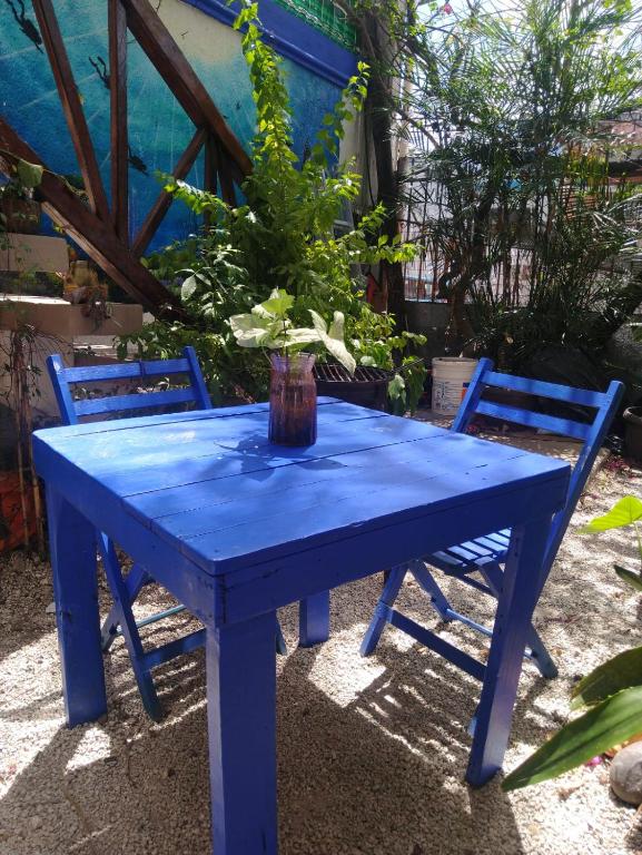 Casa las flores - 2