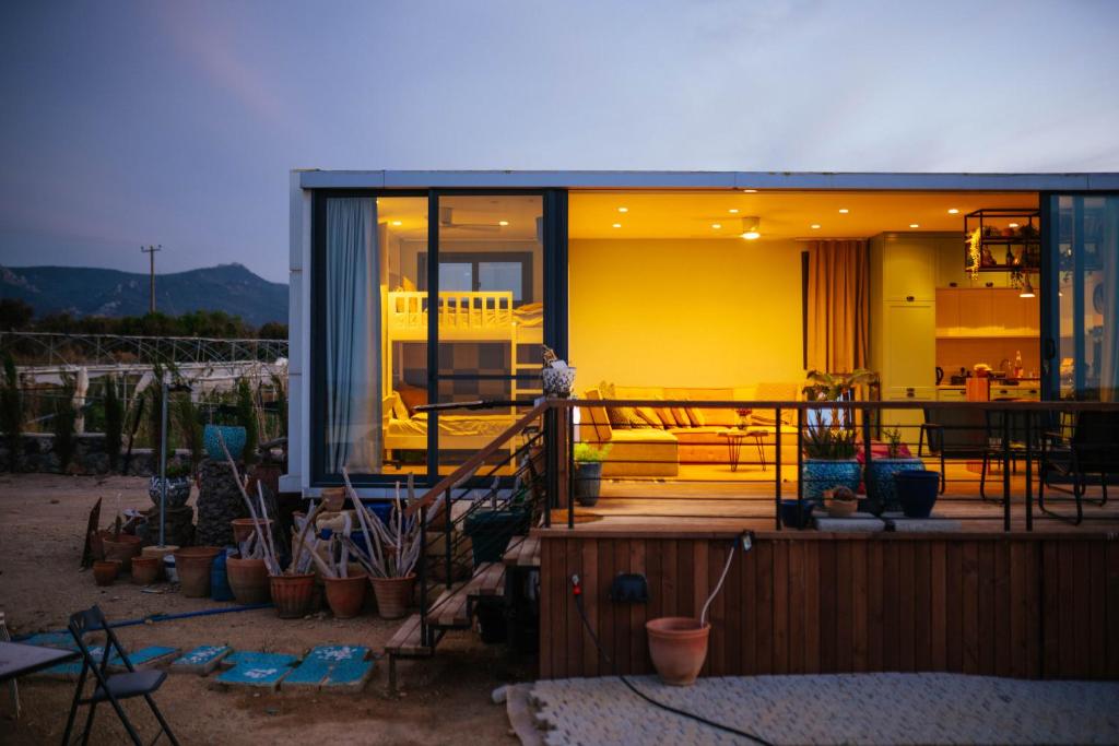 Suêrte cyprus, Akanthou