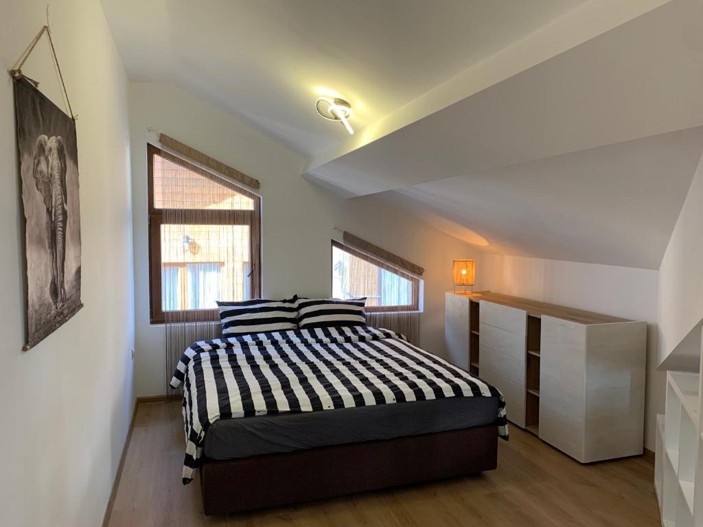 Mountain View, Razlog