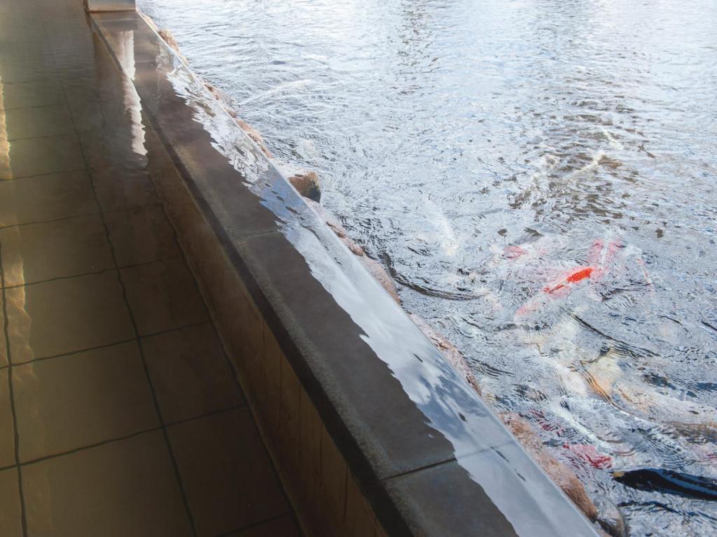 Hot spring bath