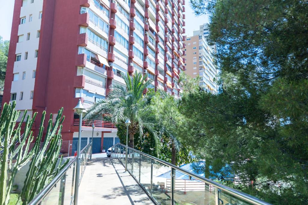 Apartamento Don Miguel 2 Playa de Levante - 5