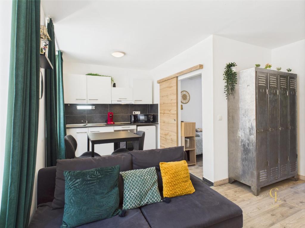 Cocon Zen Balneo - Appartement RDC proche centre Mulhouse - 3