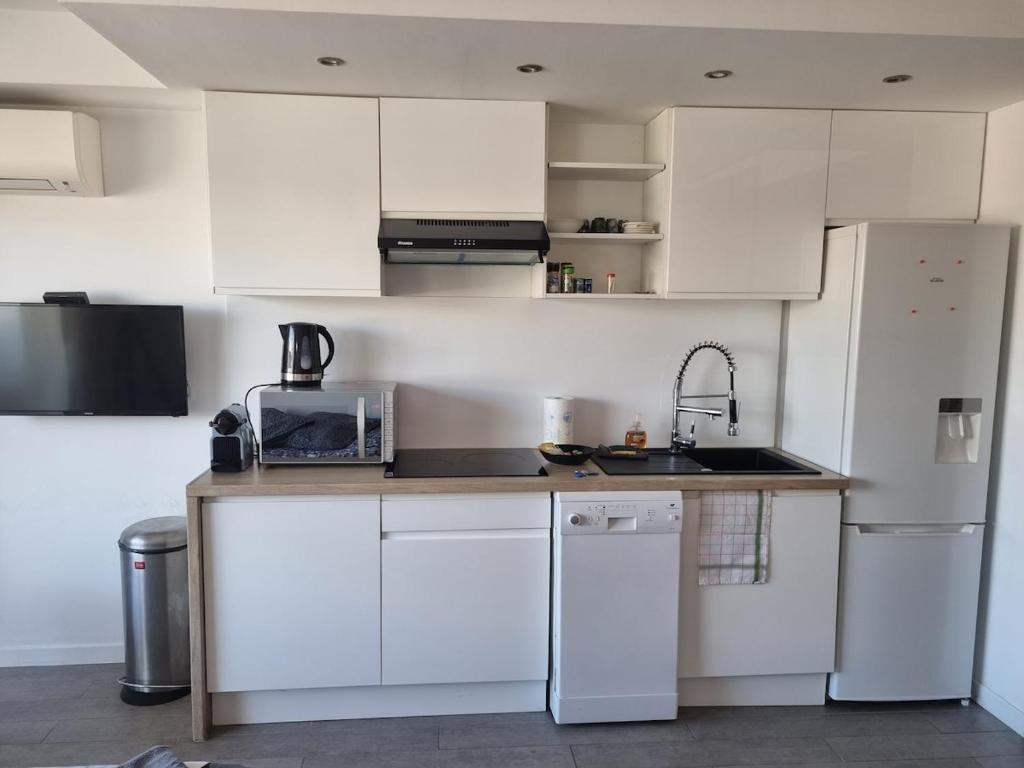 Agréable appartement plages et hypercentre - 5