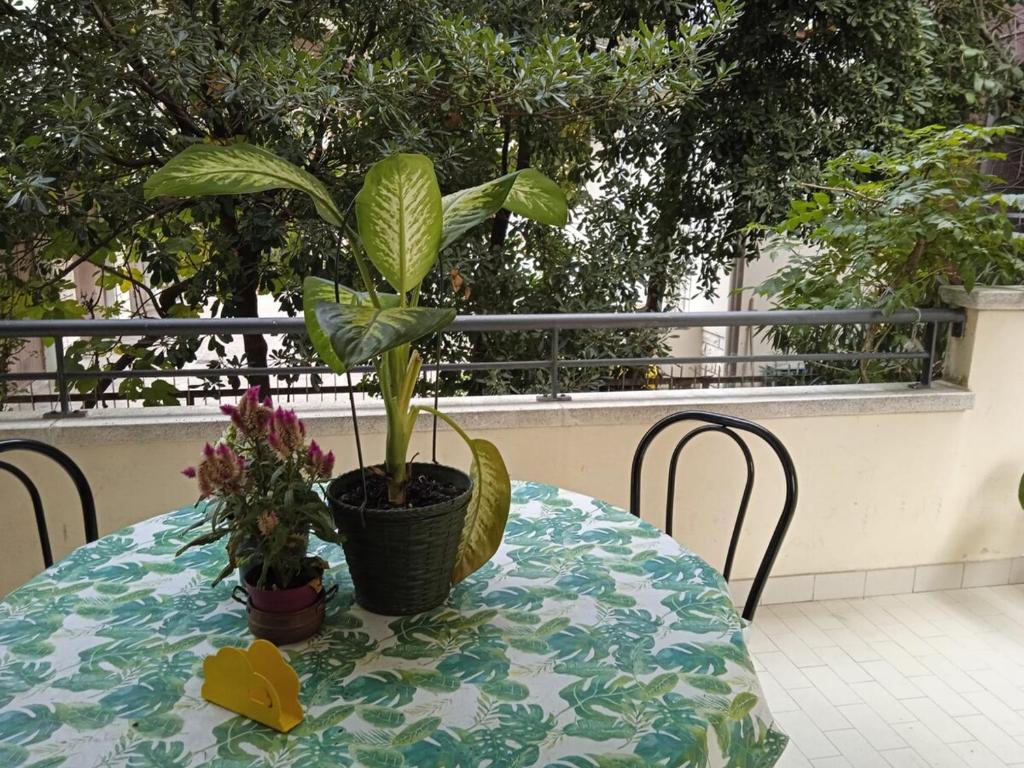 La casa di Dido - 3
