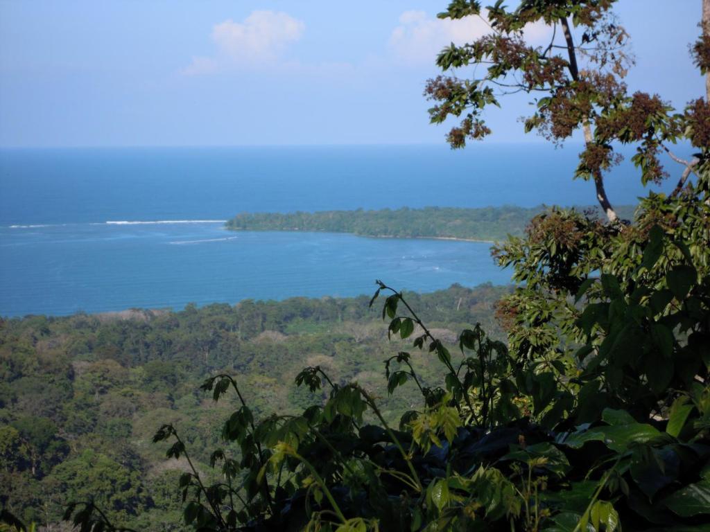 Bungalows Ache Cahuita photo