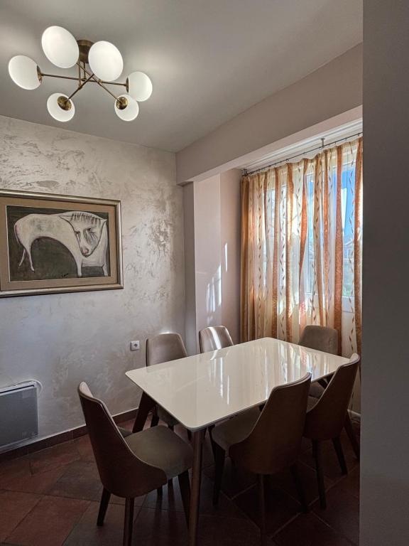 Irina's peaceful and comfort zone, center of Podgorica - 2