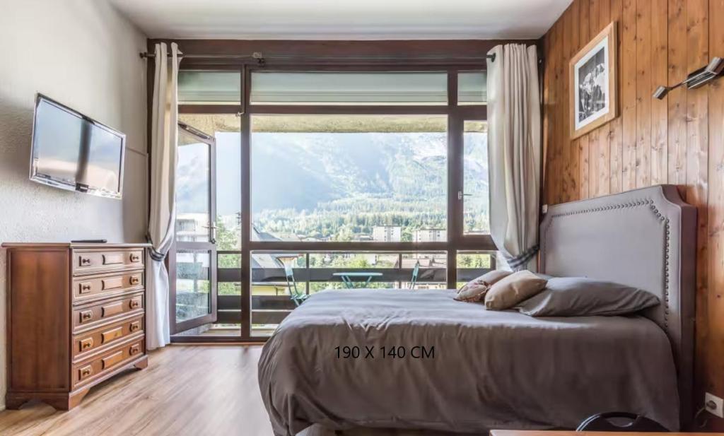 Grand Studio 25 m2, lumineux, central, vue Mont-Blanc - 2