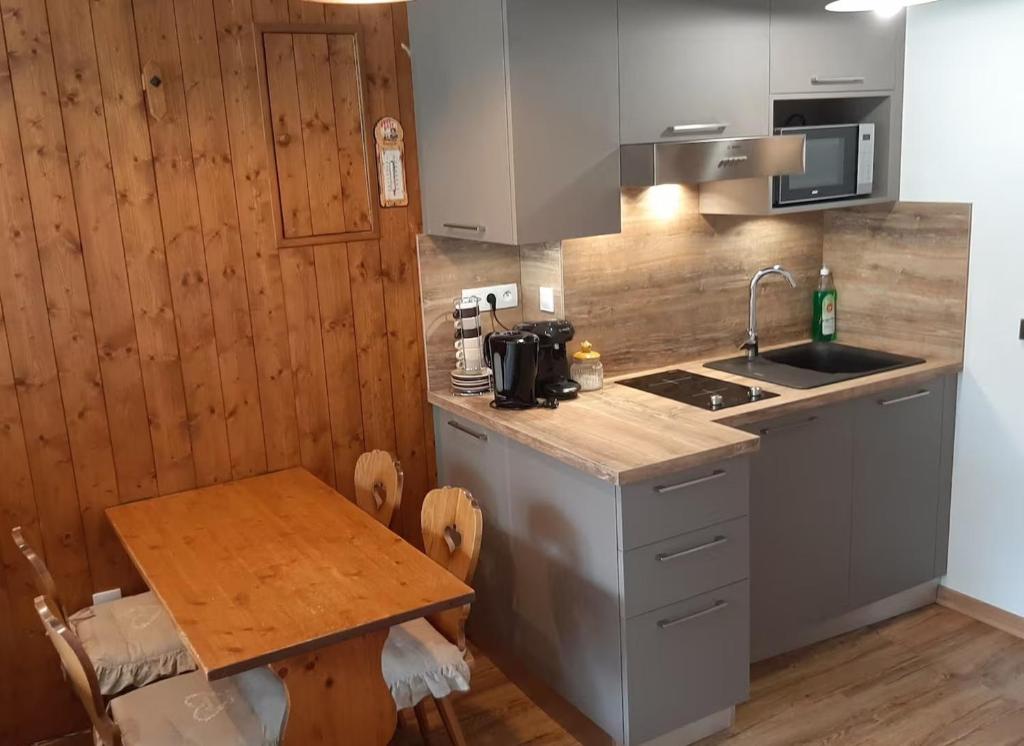 Grand Studio 25 m2, lumineux, central, vue Mont-Blanc - 4