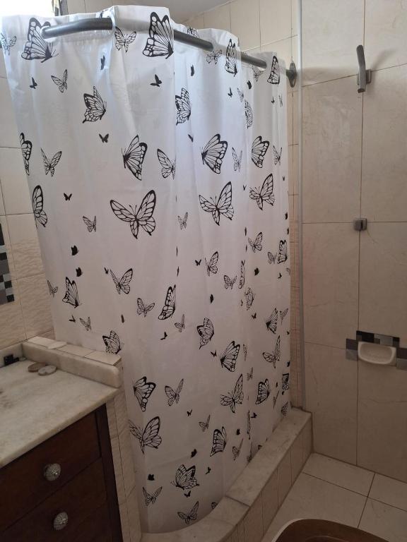 Espectacular departamento en recoleta - 2