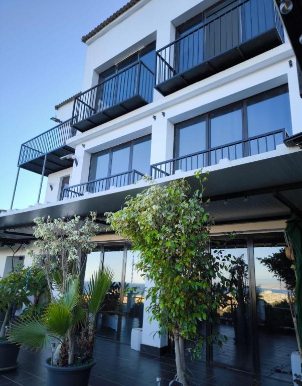 Pinar Suites Habitaciones - 3