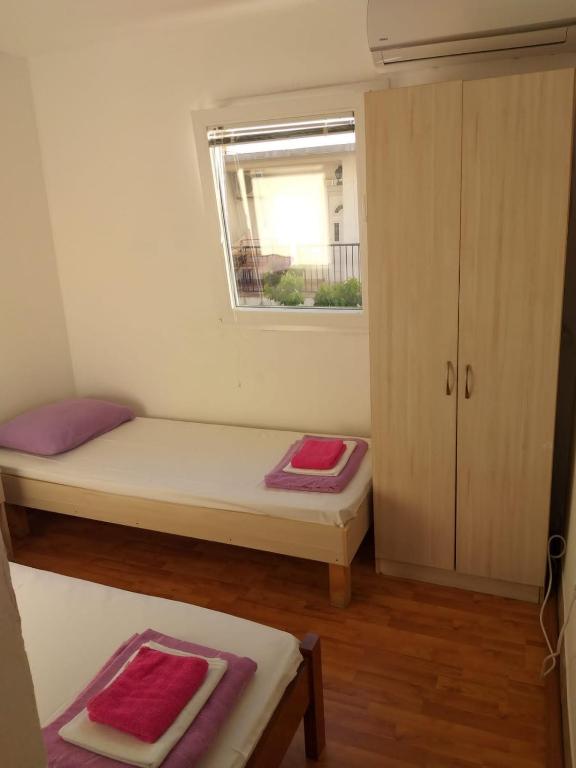 Apartments M1 Pine tree - 1