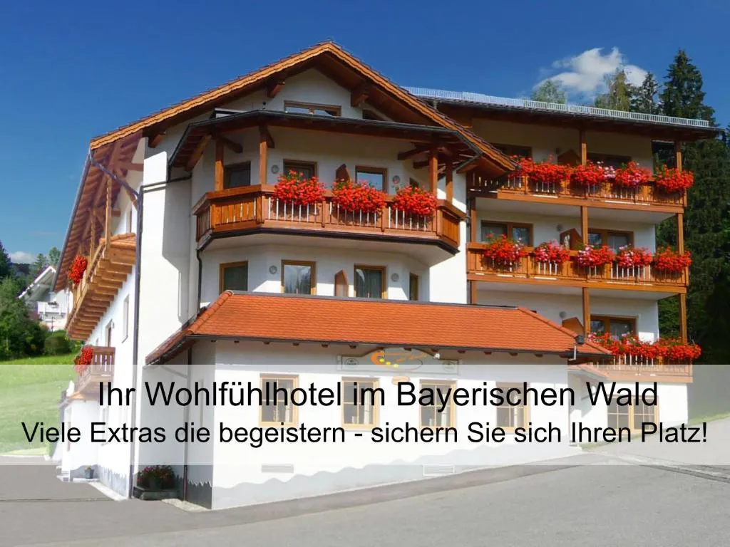GarniHotel zur Linde - Bayerischer Wald - aktivCard mit 154 kostenfreien Leistungen - kostenloser Parkplatz, hotel in Lohberg