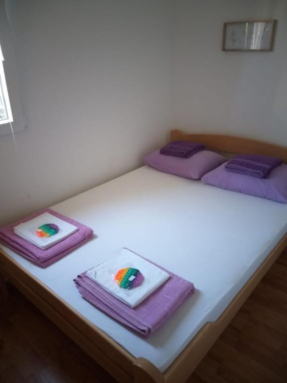 Apartments M1 Pine tree - 2
