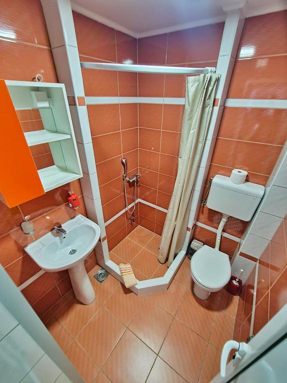 Vila Aleksandra 2 Studio 9 - 3